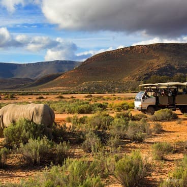 Cape Town Safari Day Trips – Big 5 Adventures