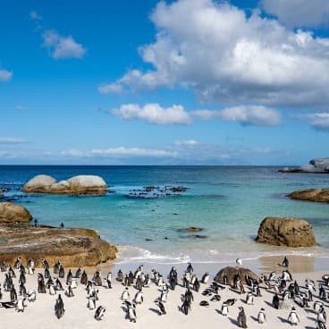Cape Peninsula Tours – Cape Point & Penguins